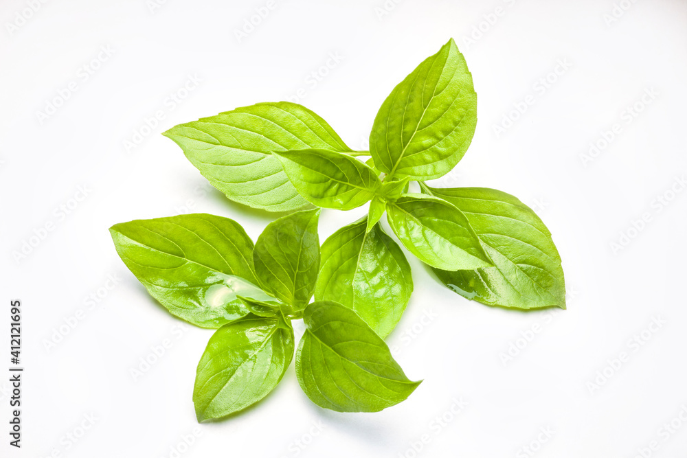 Sweet Basil Sweet Basil