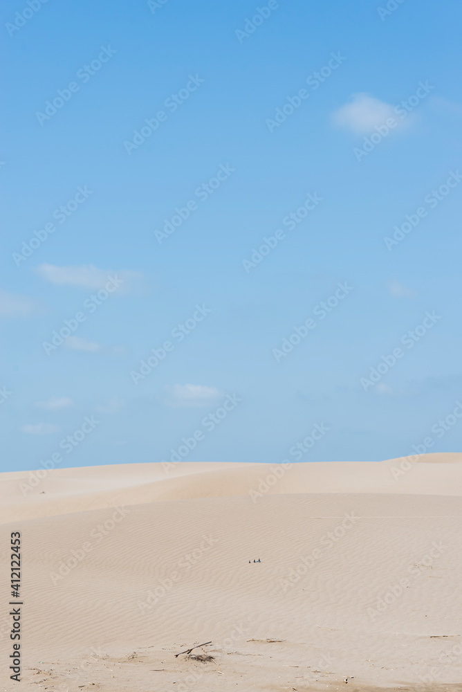 Beautiful sand dunes at dusk against blue sky