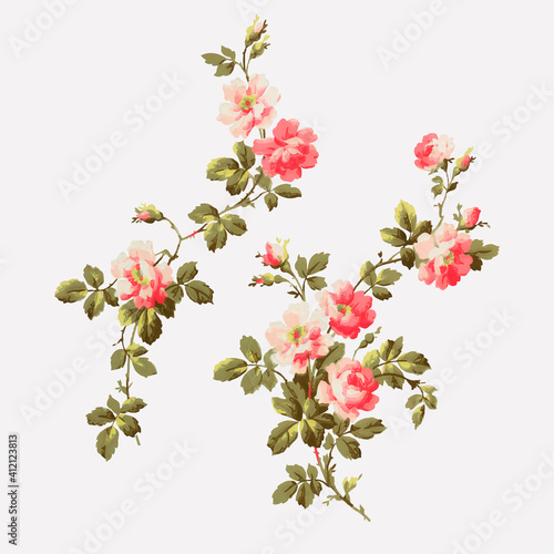 Fototapeta Naklejka Na Ścianę i Meble -  Vector colorful wild rose vintage botanical illustration