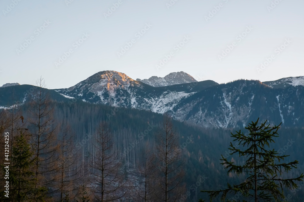 Cloudless evening sky in Tatra National Park, Poland. The view a hiking trail to Nosal Peak. Cold December evening in the mountains. Selective focus on the trees, blurred background.