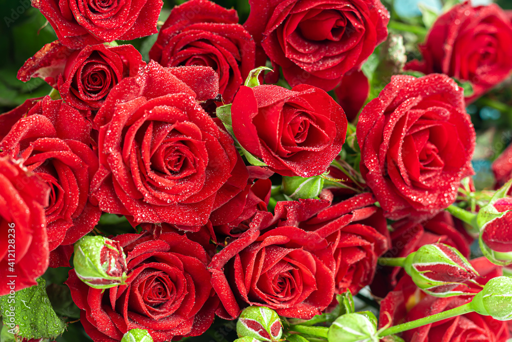A bouquet of roses on a light background. Mother's Day, Women's Day, Valentine's Day or Birthday. A bouquet of roses on a light background. Mother's Day, Women's Day, Valentine's Day or Birthday.