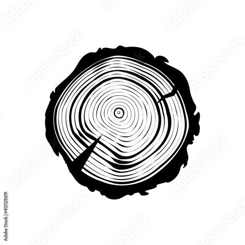Tree Trunk Cuts or Wood Cross Section Collection