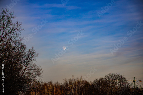  landscape with blue sky, moon and leafless trees © Joanna Redesiuk