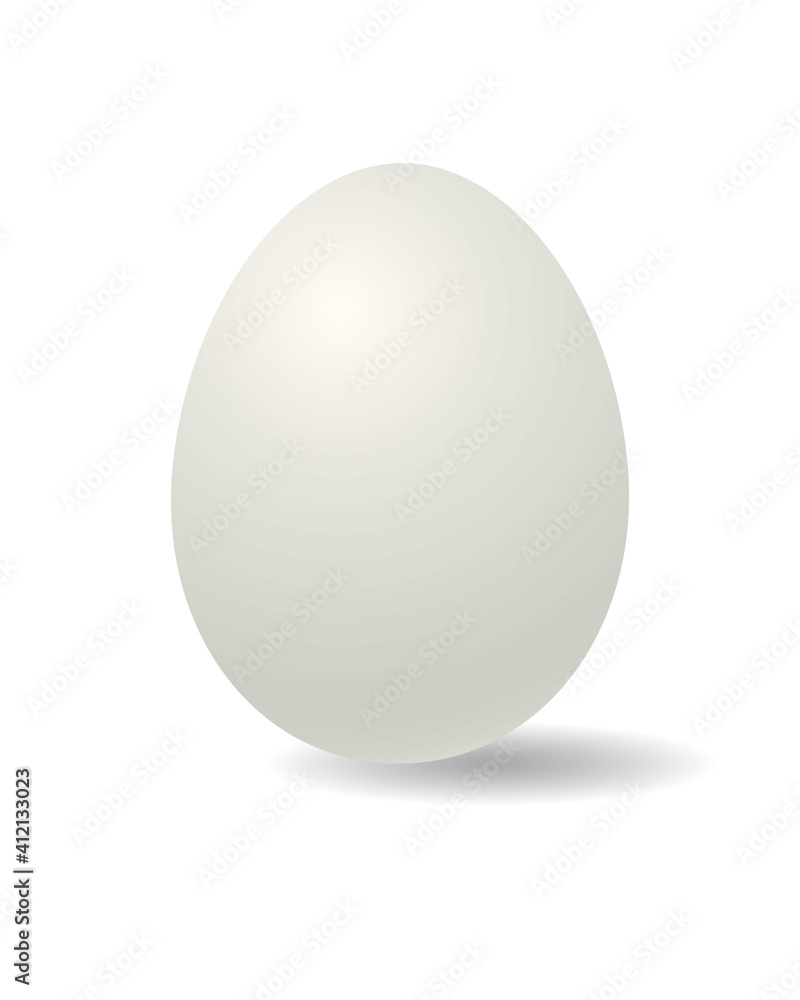 Egg isolated on white background. Vector illustration Egg isolated on white background. Vector illustration
