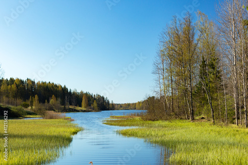Lake in forest. Picture of nature.