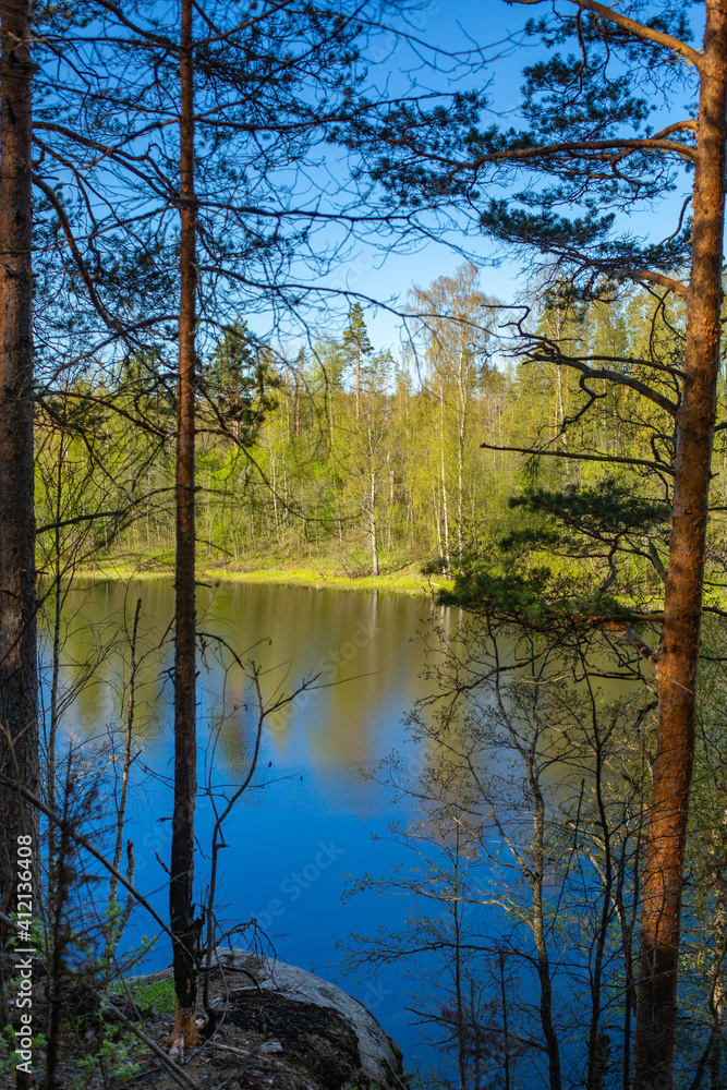 Lake in forest. Picture of nature.
