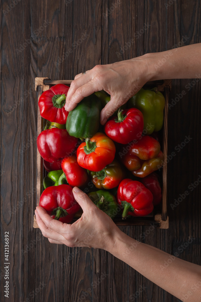 harvest of fresh sweet peppers in a box, top view harvest of fresh sweet peppers in a box, top view