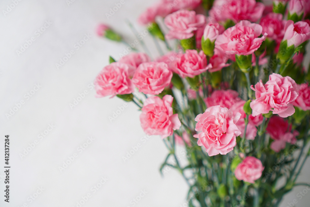 Clove carnation shabo flowers closeup background