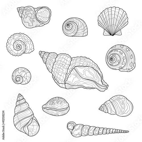 Seashells set.Coloring book antistress for children and adults. Illustration isolated on white background.Zen-tangle style. Black and white drawing