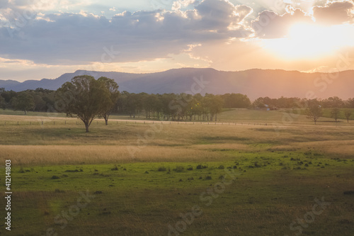Golden summer sunset or sunrise light cast over a picturesque rural landscape in the Hunter Valley region, renowned wine country in NSW, Australia.