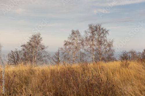 Landscape of yellow dry grass and trees without leaves