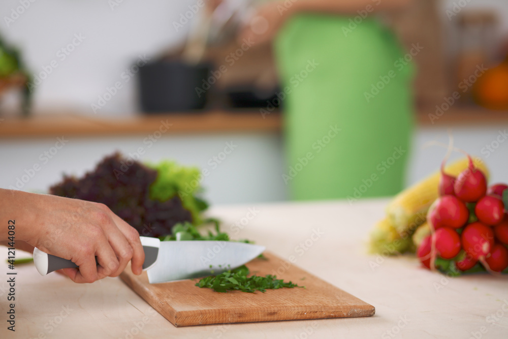 Close-up of human hands cooking vegetables salad in kitchen. Healthy meal and vegetarian concept