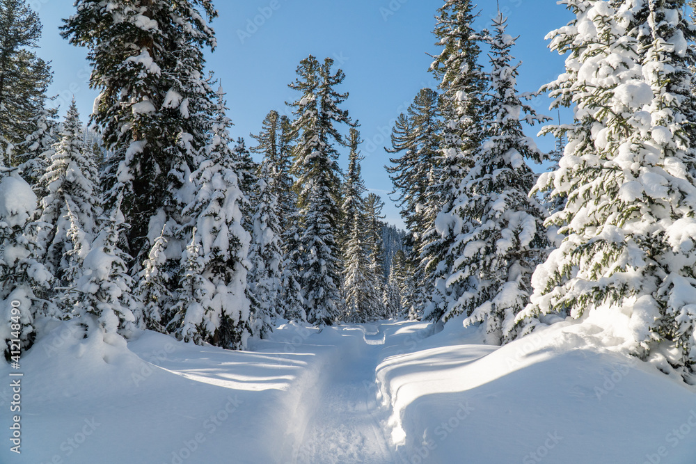 Fototapeta premium travel along the banks of a mountain in winter