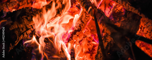 branches and logs are burning in the fire close up