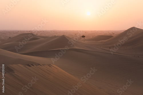 Minimalist landscape scene of golden sand dunes and sparse trees at the Empty Quarter Desert (Rub' al Khali) near Abu Dhabi, UAE at sunset or sunrise. 