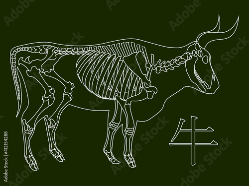 bull skeleton and chinese hieroglyph 'ox'