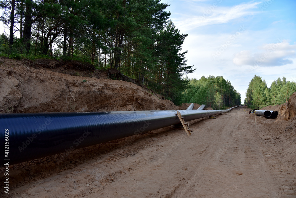 Natural gas pipeline construction work in forest area.  Petrochemical Pipe on top of wooden supports. Installation and Construction the Pipeline for transport gas to LNG plant