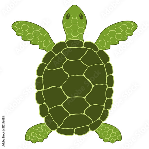 Simple vector illustration of a green sea turtle (Chelonia mydas). Schematic conceptual image of a Pacific green turtle