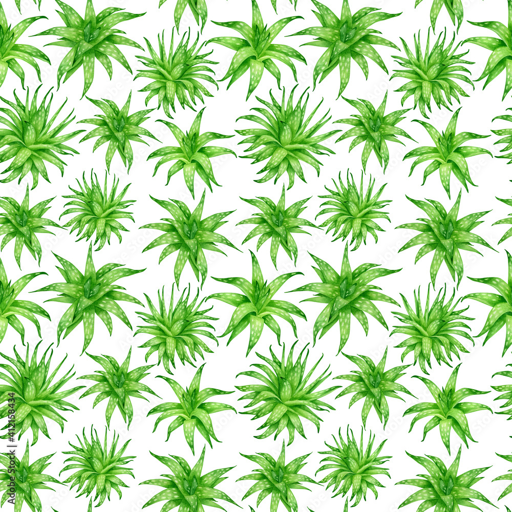 Watercolor aloe vera seamless pattern. Hand drawn green succulent fresh herbs isolated on white background. Botanical design for cosmetics, package, decoration, herbal medicine, skin care