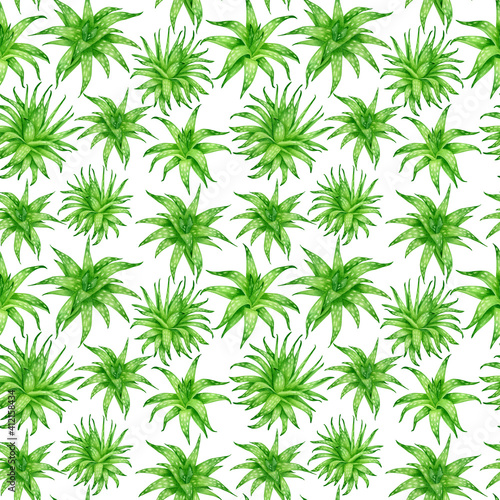 Watercolor aloe vera seamless pattern. Hand drawn green succulent fresh herbs isolated on white background. Botanical design for cosmetics  package  decoration  herbal medicine  skin care
