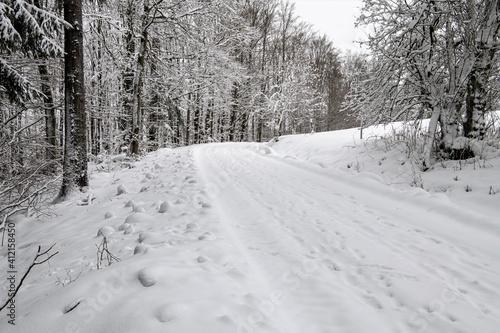 Winterwanderung  im frisch verschneiten Wald zwischen Goldisthal und Masserberg im Thüringer Schiefergebirge © Thomas