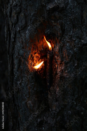 candles in wood