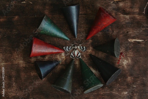 moth and cult