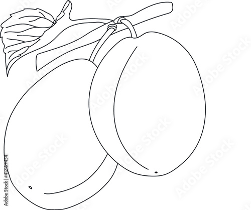 illustration of a plum