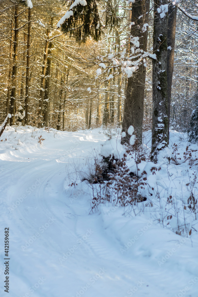 Winter forest. Winter road and everything in the snow. Winter forest. Winter road and everything in the snow.