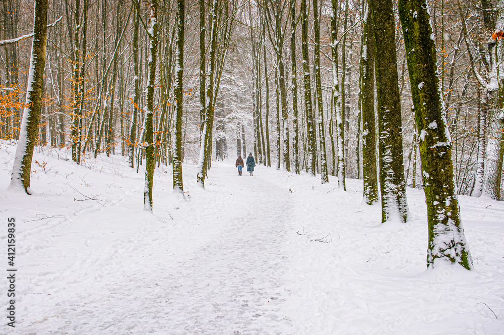 Fototapeta premium Snow photos in park Sonsbeek, Arnhem