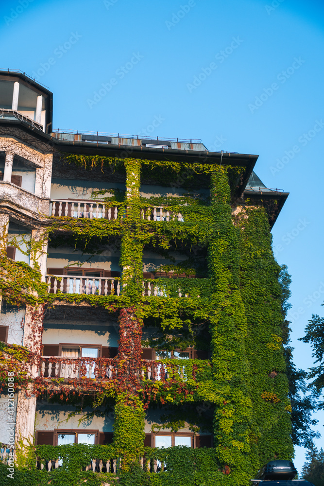The facade of the white house are entwined with green ivy and hedges, Summer sunny day. Vertical photo. Slovenia The facade of the white house are entwined with green ivy and hedges, Summer sunny day. Vertical photo. Slovenia