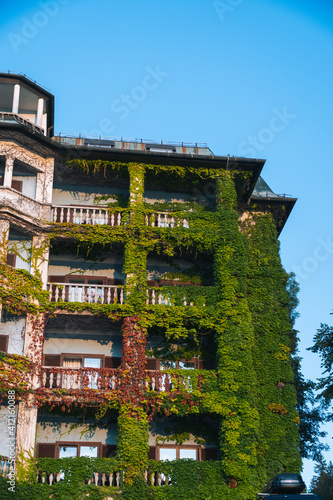 The facade of the white house are entwined with green ivy and hedges, Summer sunny day. Vertical photo. Slovenia