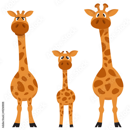 Giraffe family front view. African animals in cartoon style.