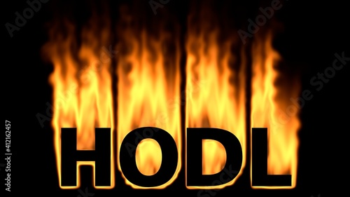 Slang Hodl brennt in Flammen photo