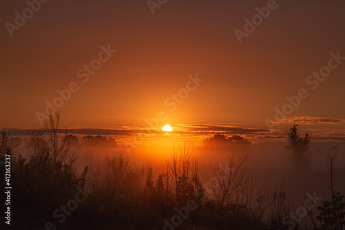 tree silhouette and fog at sunrise. amazing spring (summer) landscape
