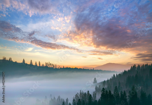 Sunset landscape of high mountain peaks and foggy valley with pine trees under vibrant colorful evening sky. © bilanol
