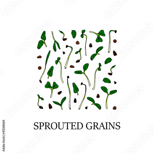 Hand drawn sprouted grains square design. Healthy vegetarian and vegan food design for company logo, print, packages. Vector illustration
