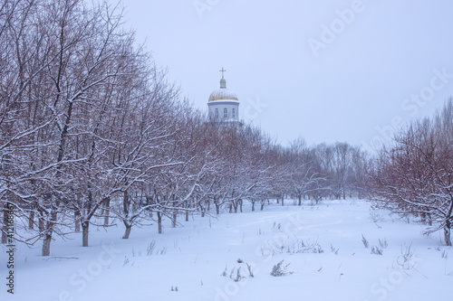 Snow covered Siberian crab apple trees and the dome of the Ukrainian Greek-Catholic Church. Nur-Sultan, Kazakhstan. © Kira0Kirina