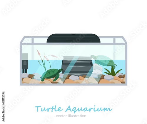 Beautiful rectangular fish tank image