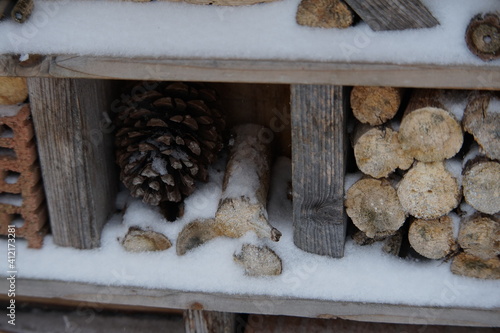 Pflanzen mit Schnee bedeckt photo