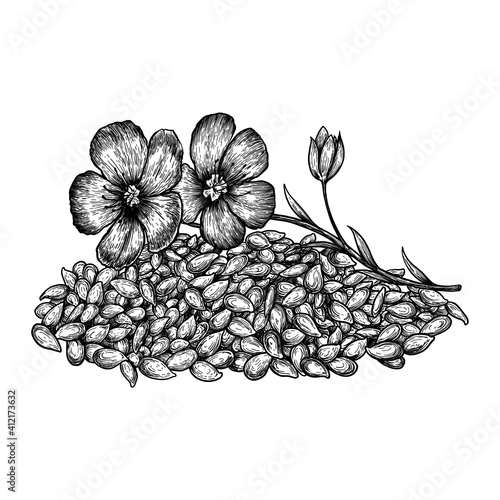 Hand drawn flax flowers and seeds. Hand drawn sketches vector illustration on white background in vintage style.