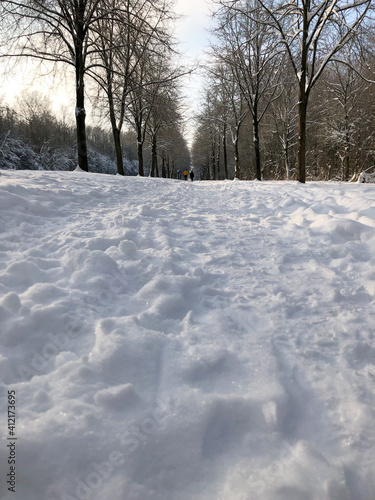 winter in the park