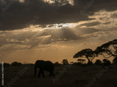 Sunset in Africa Kenya