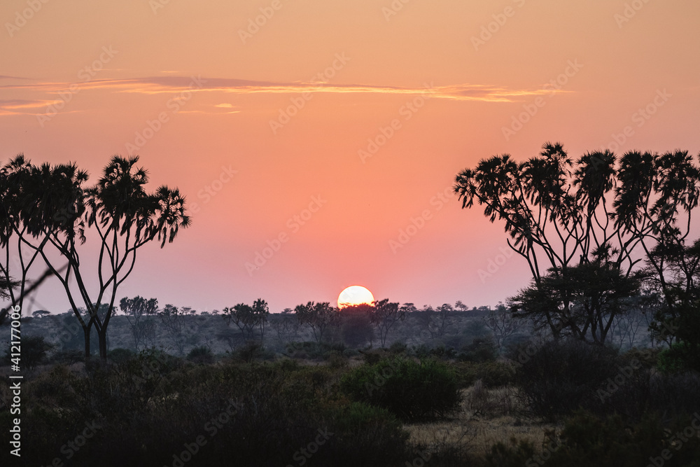 Sunrise in Samburu National Reserve, North Kenya