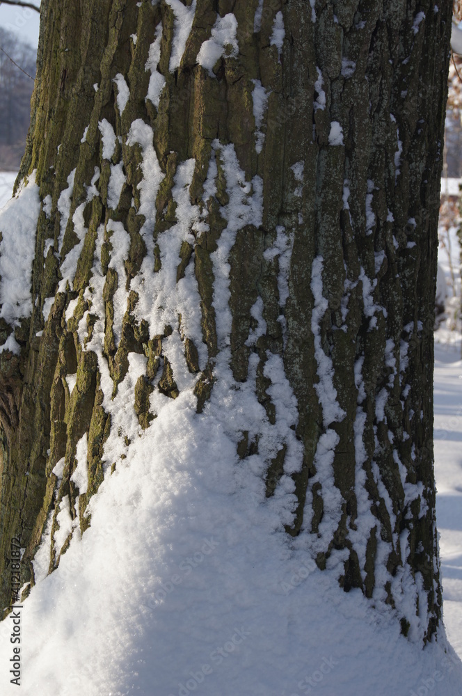 winterliche Landschaft in Europa Bielefeld winterliche Landschaft in Europa Bielefeld