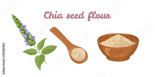 Chia seed flour in wooden bowl, spoon and plant isolated on white background. Vector illustration of healthy food in cartoon flat style.