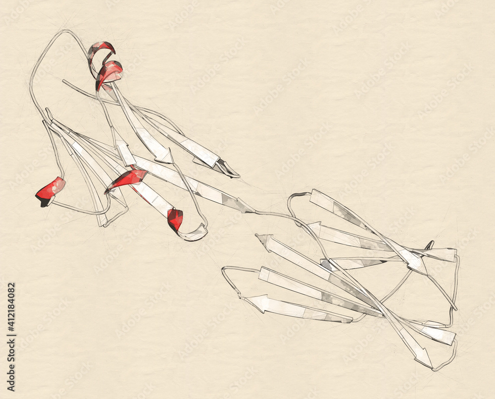 Fototapeta premium Programmed death-ligand 1 (PD-L1) protein. Produced by tumor to suppress the immune system. Blockers of the PD-L1 and PD-1 interaction are an important new anticancer drug class. 3D rendering.