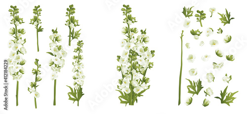 Stampa su tela Delphinium larkspur isolated on white compilation 3d vector illustration set