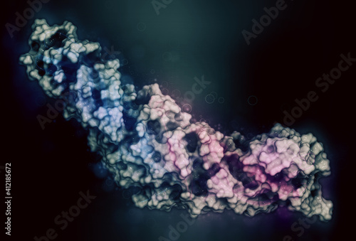 Cholesteryl ester transfer protein (CETP). Potential drug target in atherosclerosis therapy. 3D rendering based on protein data bank entry 4ews. 