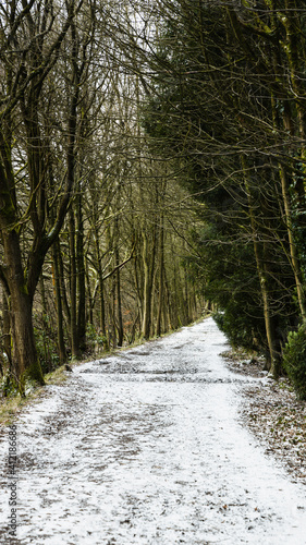 Woodland path just starting to become snow covered